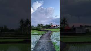 Download lagu Panik gak? mp3