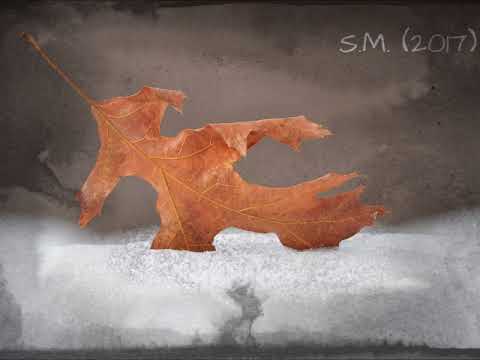 Danil Harms - S. M.  (2017)