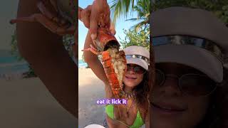 Sexy Lobster #travel #caribbeancountry #streetfood #humor #dominicanrepublic #beach #foodvlog