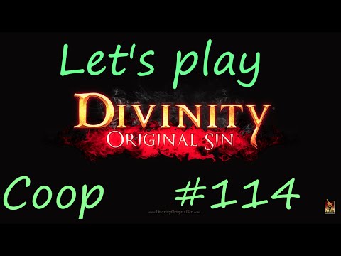 Let's Play Divinity Original Sin Coop Part 114