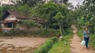 Download lagu Kecapi Suling Sunda Merdu Dengan Suasana Pedesaan dari Perbatasan Cianjur - Garut ( Talegong ) mp3 Download lagu Kecapi Suling Sunda Merdu Dengan Suasana Pedesaan dari Perbatasan Cianjur - Garut ( Talegong ) mp3