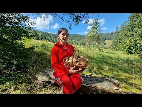 ŽIVOT U PLANINI: Ukusna juha od gljiva i julienne!