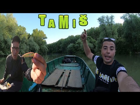 PRVI PUT VOZIM ČAMAC - VARALIČARENJE NA TAMIŠU 🤣😱🤣(DULE MENADZER) *četiri sata vožnje*