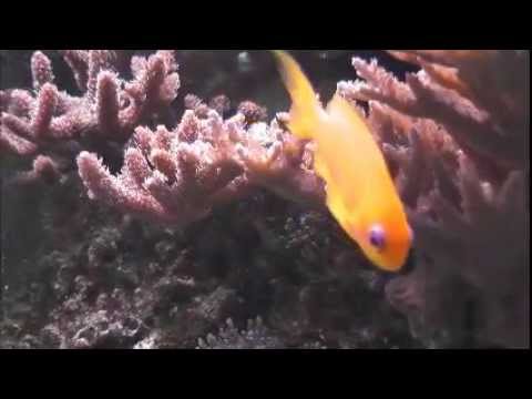 ????63 Jaromír Nohavica @ V MOŘI JE MÍSTA DOST