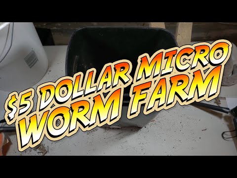 Setting Up a FIVE DOLLAR DIY Worm Farm. Start your own WORM FARM, Fast, Easy and CHEAP.