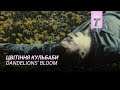 Цвітіння кульбаби / Трейлер