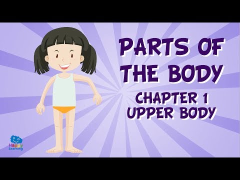 Vocabulario las partes del cuerpo humano en inglés(1) | Vídeos Educativos para Niños. Aprende inglés