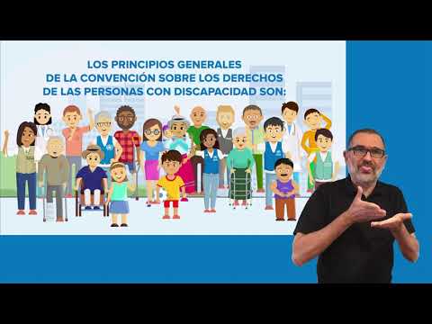 Principios Generales de la Convención sobre los Derechos de las Personas con Discapacidad.