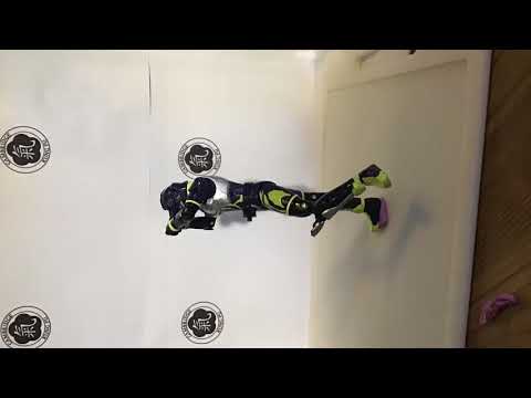 Mack’s Savate Form