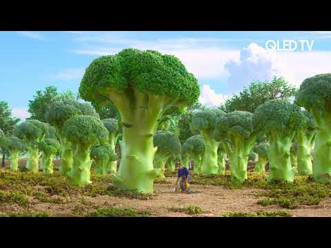 Samsung 4K demo video : Q Color Quantum World (HDR)