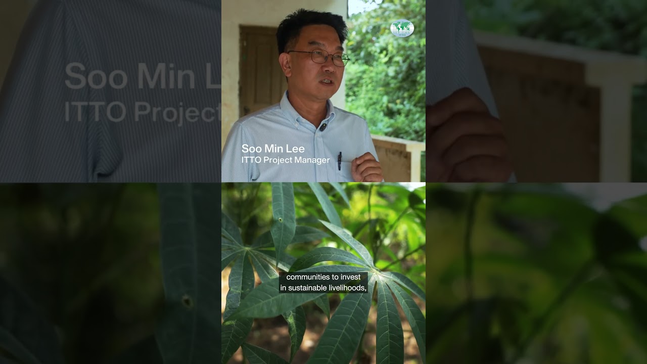 Communities are building their futures in Cambodia's forests