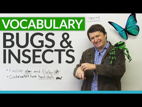 Idiom Battle Learn 10 English Idioms AND their Opposites