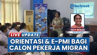 Bekal Calon Pekerja Migran! BP3MI NTT Gelar Orientasi Pra Pemberangkatan dan E-PMI