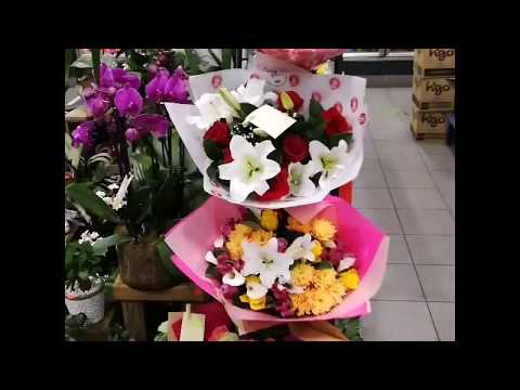 download lagu mp3 mp4 Musi Flowers, download lagu Musi Flowers gratis, unduh video klip Musi Flowers