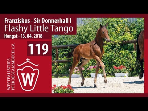 119 Flashy Little Tango HF v. Franziskus - Sir Donnerhall I