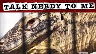 The Curious Sex Lives Of Animals | TNTM