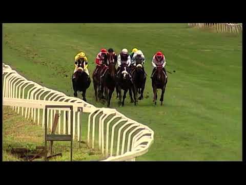 Tempesti - Premio Shulich