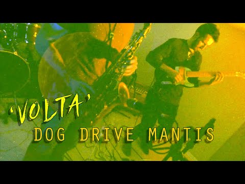 Dog Drive Mantis - Volta