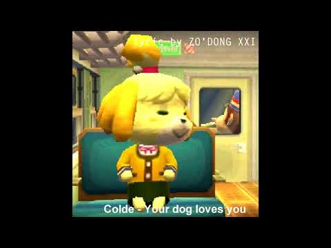 【Thai】 Your dog loves you - Colde (콜드)