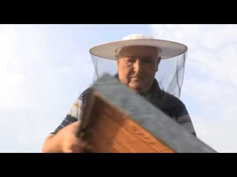 Boja meda ep. 37 20.11.2018. - dimilica, pravilno zazimljavanje pčela, obrazovanje pčelara