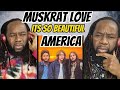 AMERICA - Muskrat Love REACTION - SO dreamy..Love it! First time hearing