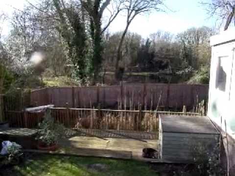 Houseboat Waterhome With residential mooring and Freehold Plot - Boatshed - Boat Ref#21625