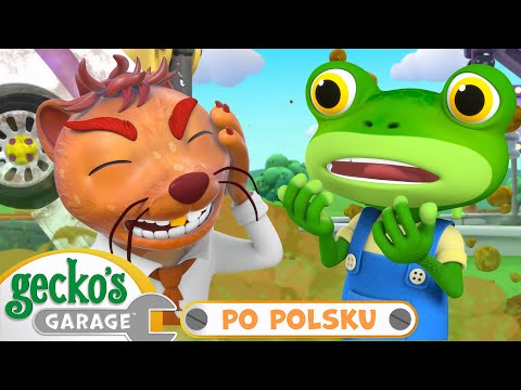 Krecia robota Sylwka