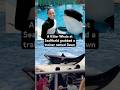The Horror Story Of Dawn Brancheau And The SeaWorld Killer Whale Killerwhale Orca