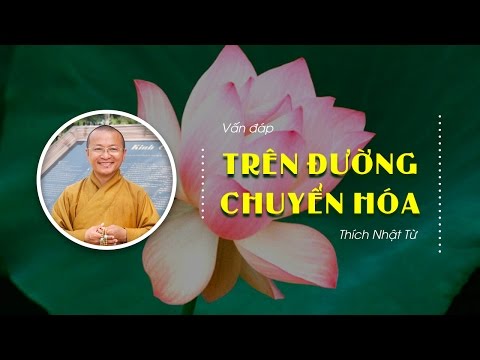 Vấn đáp: Trên đường chuyển hóa (13/08/2010) Thích Nhật Từ