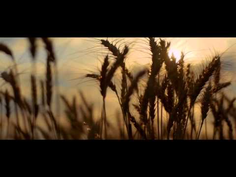 afbeelding Landing, The