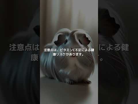 シルバー(セルフ)