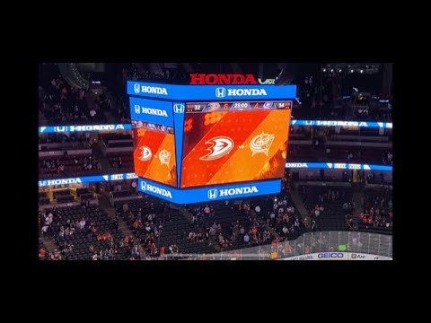 Ducks vs Blue Jackets