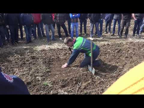 Richtige Bodenbearbeitung nach Mähdrusch