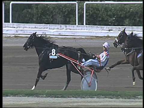 Trotto 17/04/2016 - 4° Corsa