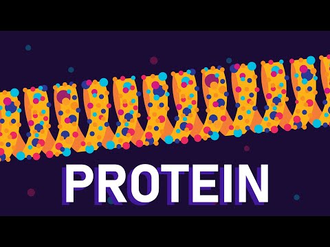 What are proteins?