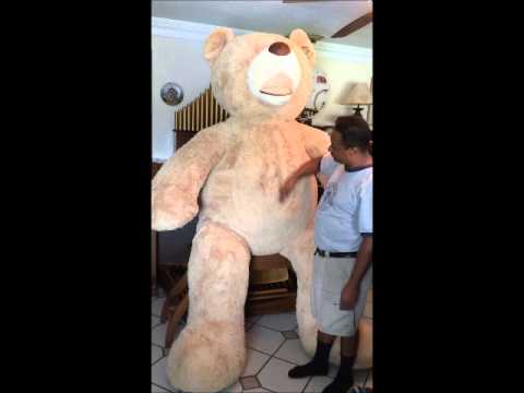 Kris Nicholson BIG JUAN Costco Teddy Bear 93 Inch by Hugfun Re-stuffing Prodject 1