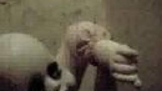 ANGRY JOHNNY PRESENTS....&quot;BABY CREEP!!!!&quot;