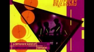 Buzzcocks   You Know You Can't Help It mp4