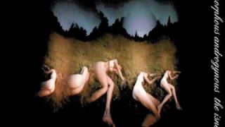 Amorphous Androgynous (FSOL) - High tide on the sea of flash