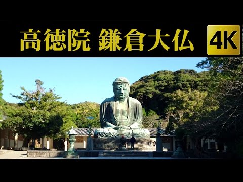 Kotokuin ( Great Buddha ) , Kamakura , Japan 高徳院 （鎌倉大仏） / 鎌倉 [ 4K ]