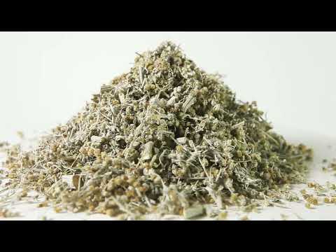   Полынь горькая