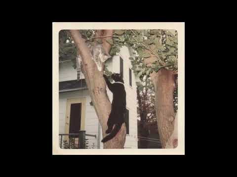 Unknown Indie Rock Song - "It's Your Call" - Help Identify