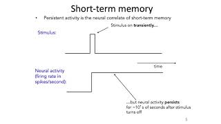 MIT 19: Neural Integrators