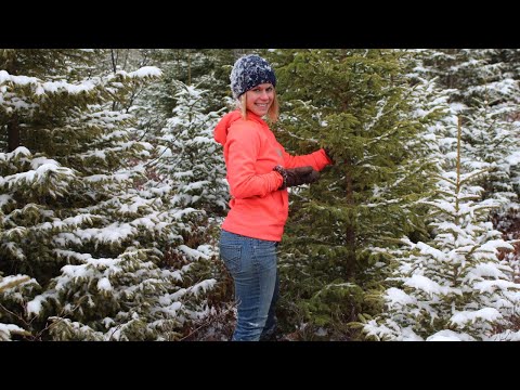 She Cuts Down Her First Tree....and then She....