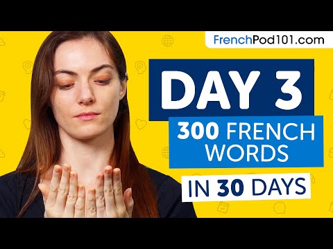 Day 1 10 300 Learn 300 French Words in 30 Days Challenge