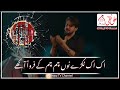 7 Muharam Shahadat Janab Qasim Farhan Ali Waris