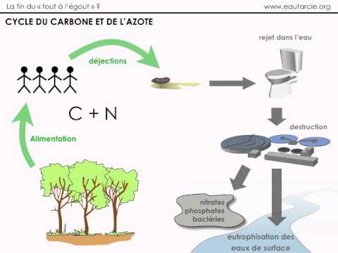 comment installer le tout a l'egout