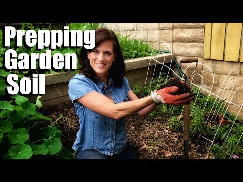Kaip paruošti savo sodo dirvą?