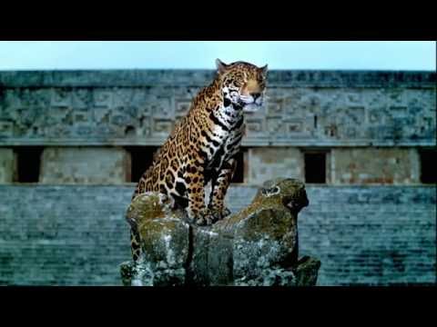 Jose Amnesia - Eternal - Element Six- Chilled - Remix