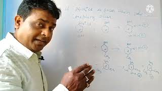 L-24: Amines: coupling: Reaction involving retention of Diazo group coupling reactions.